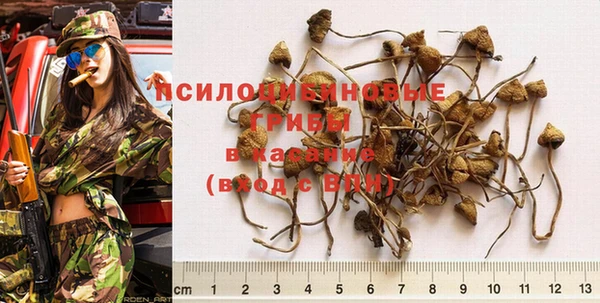 дмт Абдулино