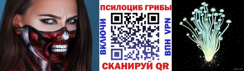 Псилоцибиновые грибы Cubensis  МЕГА вход  площадка какой сайт  Касли 